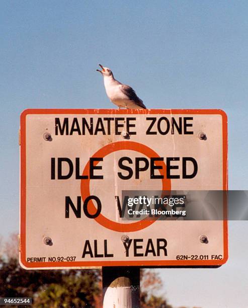 Sign indicates a manatee zone as a warning to boaters to keep a slow speed at Crystal River, Florida, in December, 2006.