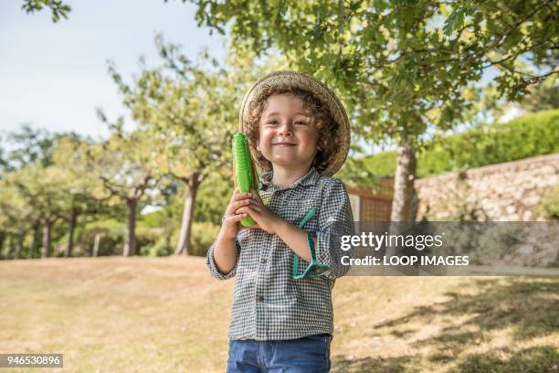 a young boy plays in the sunshine - boyhood film stock-fotos und bilder