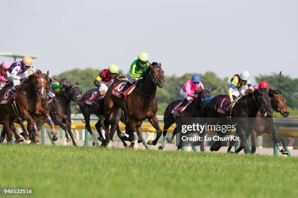 Jockey Yuga Kawada riding Satono Aladdin wins the Race 11 Keio Hai Spring Cup at Tokyo Racecourse on May 14, 2016 in Tokyo, Japan.