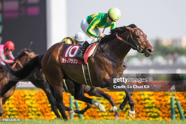 Jockey Yuga Kawada riding Satono Aladdin wins the Race 11 Keio Hai Spring Cup at Tokyo Racecourse on May 14, 2016 in Tokyo, Japan.