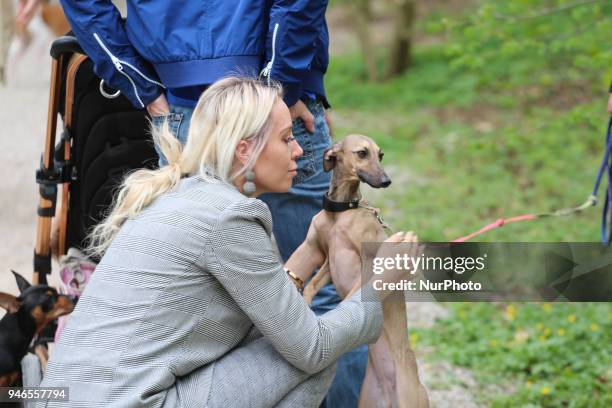 Woman plays with a dog while the dog looks away on a cloudy spring day in Munich.