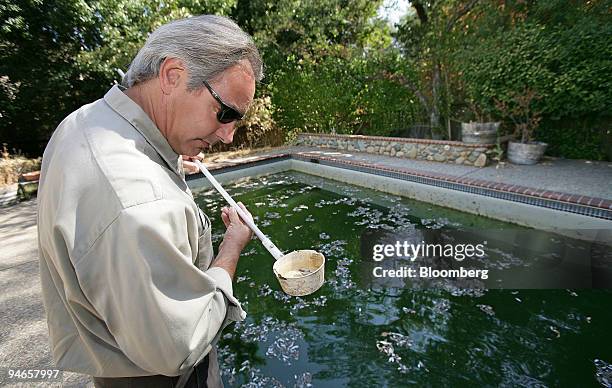 Field Technician Jeff Gay with the Sacramento-Yolo Mosquito and Vector Control District, checks a sample from an unmaintained swimming pool for...