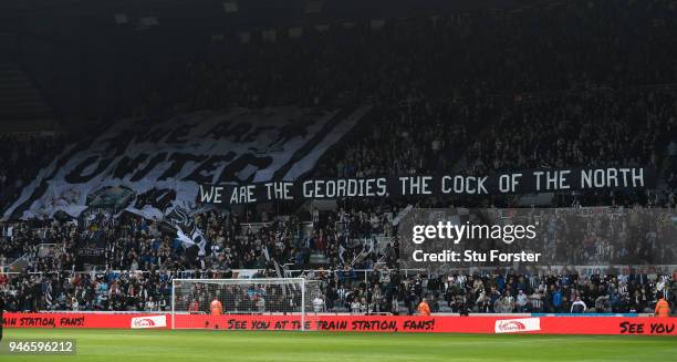 Geordies Rabbit 259 Geordies Stock Photos, High-Res Pictures, and Images - Getty Images