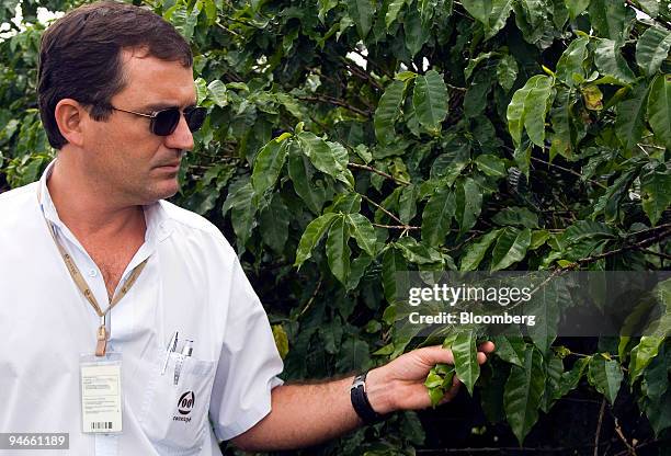 Mario Ferraz de Araujo, an agronomist agronomist working for Cooxupe , the largest private coffee cooperative in the world, surveys an underdeveloped...