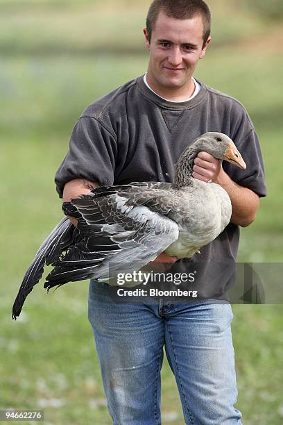 Farmer Albin Meynard holds a goose in his arms at a goose farm in Coulaures, in southwest region of France, Monday, July 2, 2007. Remi Olivier is the...