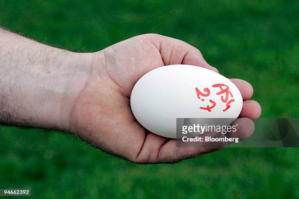 Farmer shows a goose egg at a goose farm in Coulaures, in southwest region of France, Monday, July 2, 2007. Remi Olivier is the first cog in the...