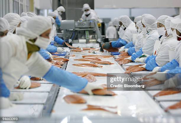 Fish Processing Filet 14 Fjord Seafood Chile Stock Photos, High-Res Pictures, and Images ...