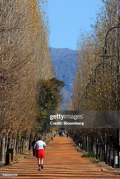 Runner goes through San Martin General Park in Mendoza, Argentina, on July 25, 2007. Theodore Roxford, also known as Edward Pastorini, stayed in...