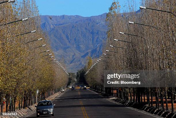 Cars pass by San Martin General Park in Mendoza, Argentina, on July 25, 2007. Theodore Roxford, also known as Edward Pastorini, stayed in Mendoza at...