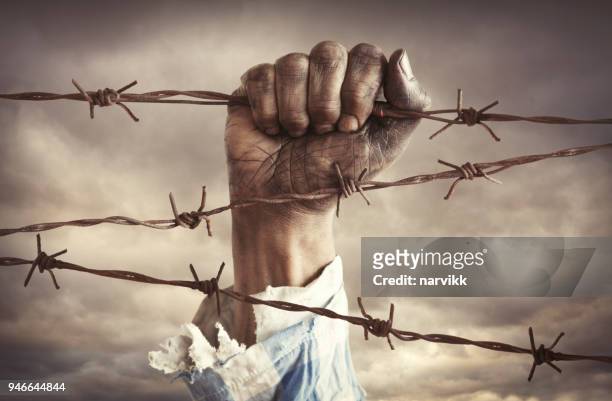 hand of refugee holding barbed wire - refugee camp stock pictures, royalty-free photos & images