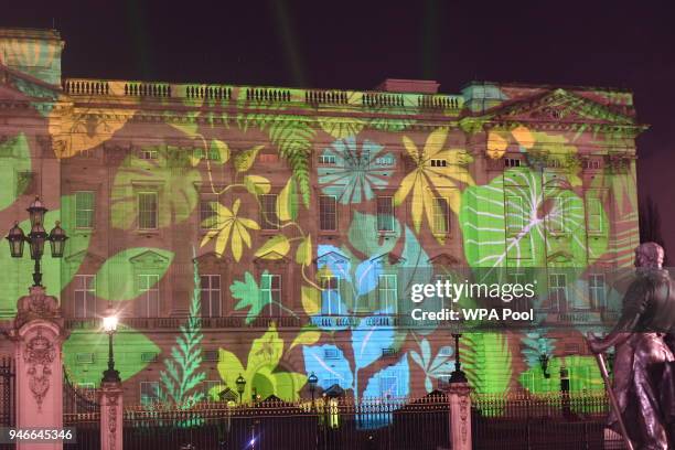 Rainforest design is projected onto the facade of Buckingham Palace to celebrate Her Majesty Queen Elizabeth II's global conservation initiative part...