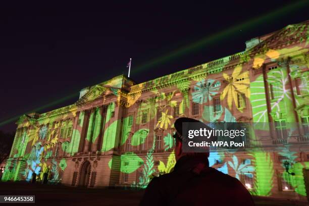 Security look on as a rainforest design is projected onto the facade of Buckingham Palace to celebrate Her Majesty Queen Elizabeth II's global...