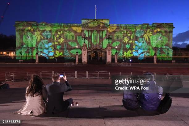 People watch and take photos of a rainforest design projected onto the facade of Buckingham Palace to celebrate Her Majesty Queen Elizabeth II's...