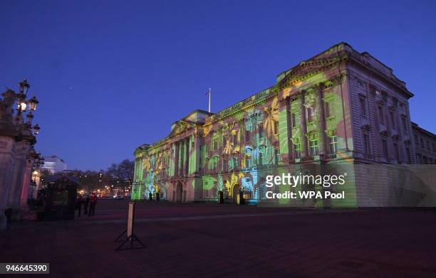 Rainforest design is projected onto the facade of Buckingham Palace to celebrate Her Majesty Queen Elizabeth II's global conservation initiative part...
