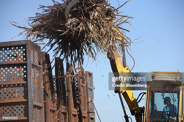 Tractor picks up cut sugar-cane at the Sao Manoel plantation in Sao Manuel, Brazil, on Thursday, Nov. 22, 2007. Brazil's sugar-cane crop will rise to...