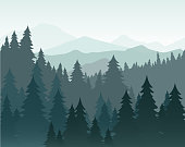 Vector illustration of pine forest and mountains vector background. Coniferous forest, fir silhouette and mountains in fog landscape.