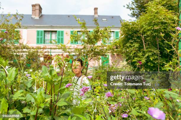 asian girl in the garden - ninfea fotografías e imágenes de stock