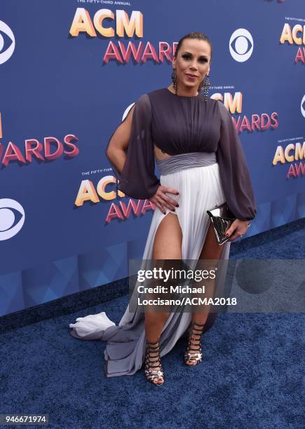 Mickie James attends the 53rd Academy of Country Music Awards at MGM Grand Garden Arena on April 15, 2018 in Las Vegas, Nevada.