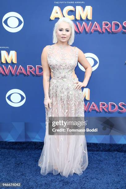 RaeLynn attends the 53rd Academy of Country Music Awards at MGM Grand Garden Arena on April 15, 2018 in Las Vegas, Nevada