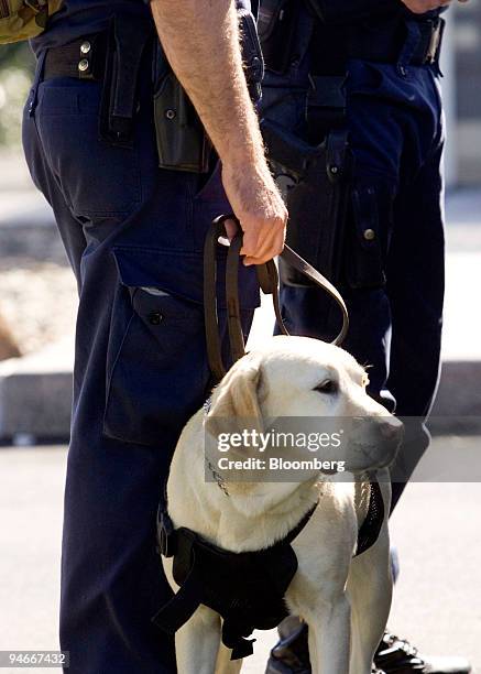 Bomb squad sniffer dogs are on patrol at the The Hyatt Hotel ahead of the APEC Finance Ministers Meeting in Coolum, Queensland, Australia, on...