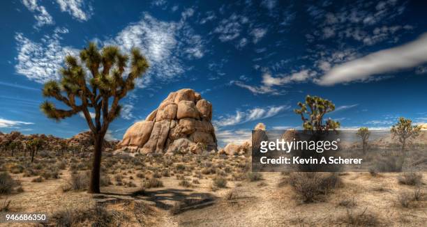 jt, rocks & clouds - joshua tree stock pictures, royalty-free photos & images
