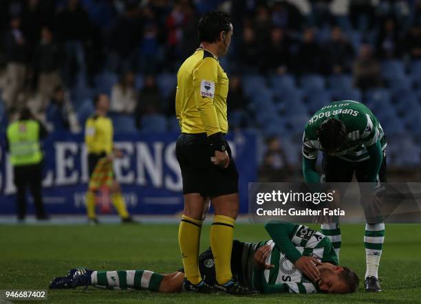 Sporting CP forward Bas Dost from Holland injured during the Primeira Liga match between CF Os Belenenses and Sporting CP at Estadio do Restelo on...