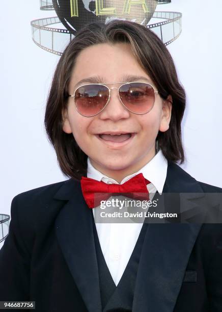 Actor Bryson Robinson attends the 3rd Annual Young Entertainer Awards at The Globe Theatre on April 15, 2018 in Universal City, California.