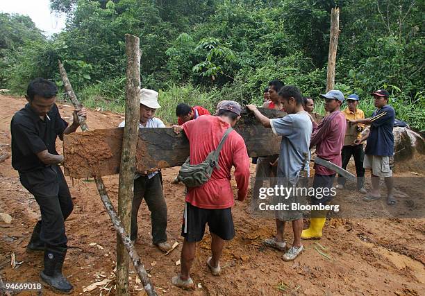 Selakau people help build a barricade to block loggers from entering the area of Sebako District in Lundu, a town at the southern tip of Sarawak,...