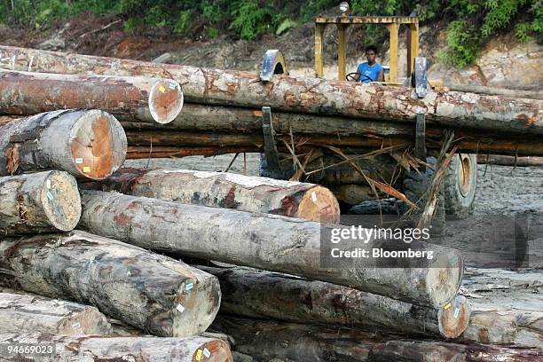 Logs are stacked up by heavy machinery in Bau District in Sarawak, Malaysia, on Thursday, July 26, 2007. Malaysia, the biggest exporter of tropical...