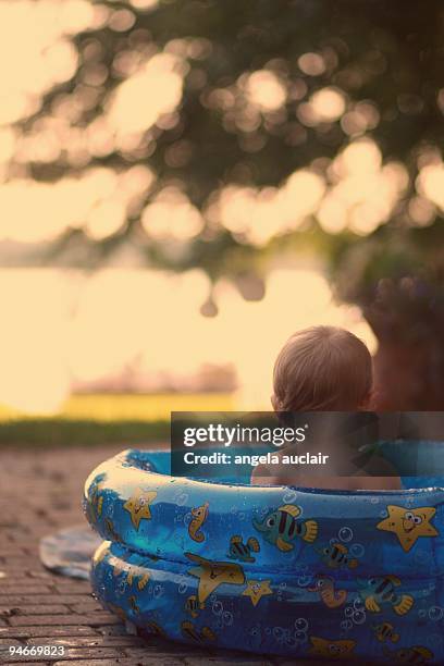 sunset swim in the baby pool - angela auclair stock pictures, royalty-free photos & images