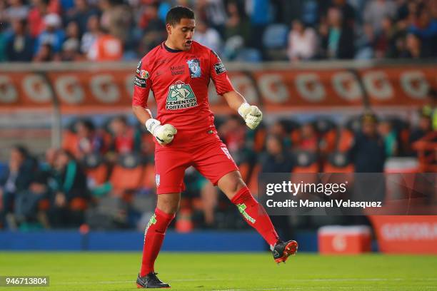 Alfonso Blanco of Pachuca celebrates a scored goal by Keisuke Honda during the 15th round match between Pachuca and Santos Laguna as part of the...