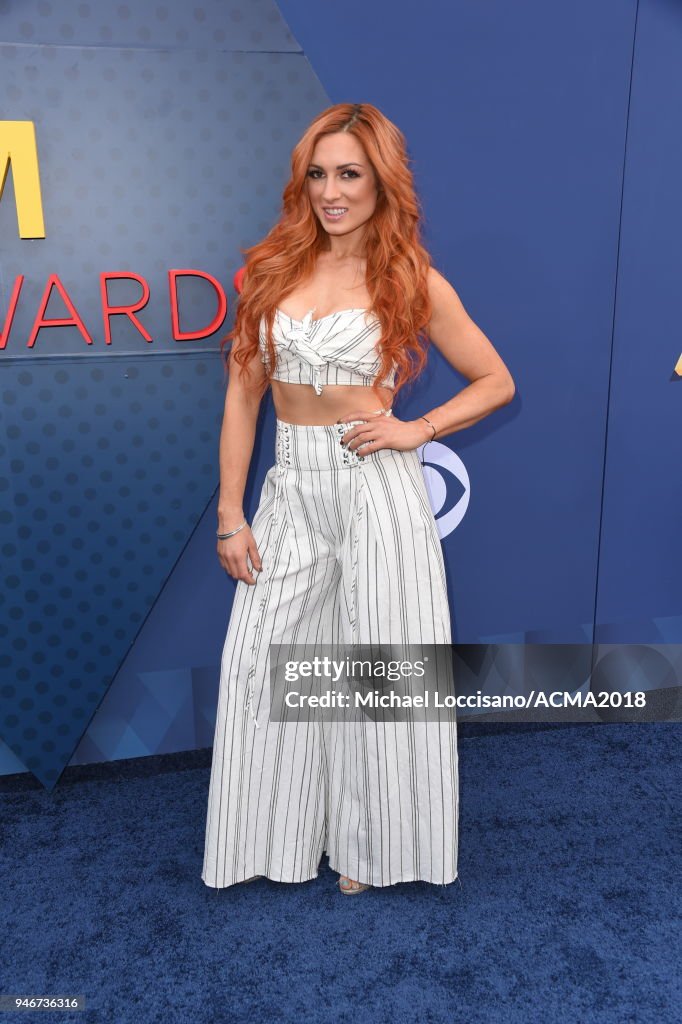 53rd Academy Of Country Music Awards  - Red Carpet