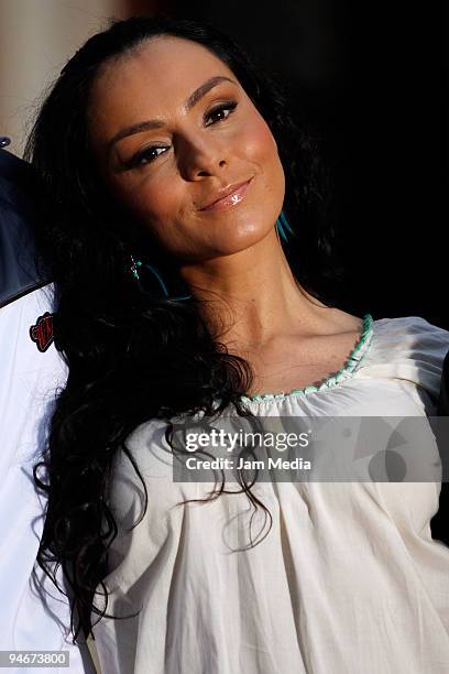 Actress Ivonne Montero during the presentacion of the new mexican tv soap opera 'La Loba' of TV Azteca on December 16, 2009 in Mexico City, Mexico.