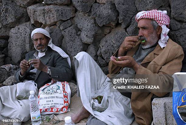 Yemeni men chew Qat in the village of Bani Atban in the Sanaa province district of Arhab where Yemeni security forces carried out operations against...