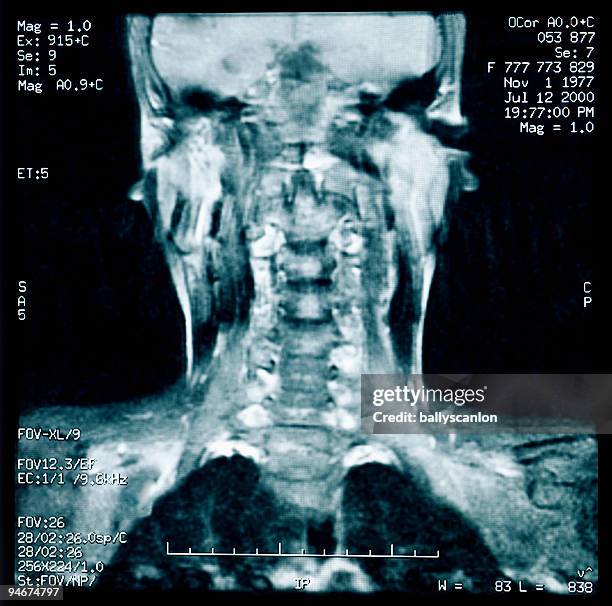 cat scan. - scrutiny stock pictures, royalty-free photos & images