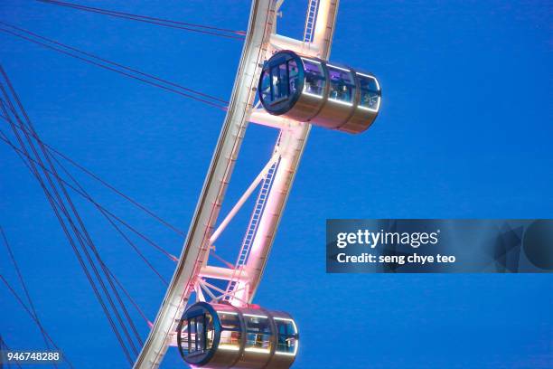 singapore flyer - singapore flyer stockfoto's en -beelden