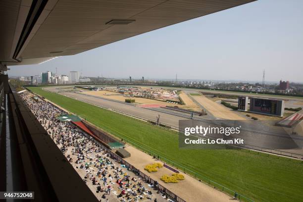 Nagoya Racecourse StockFotos und Bilder Getty Images