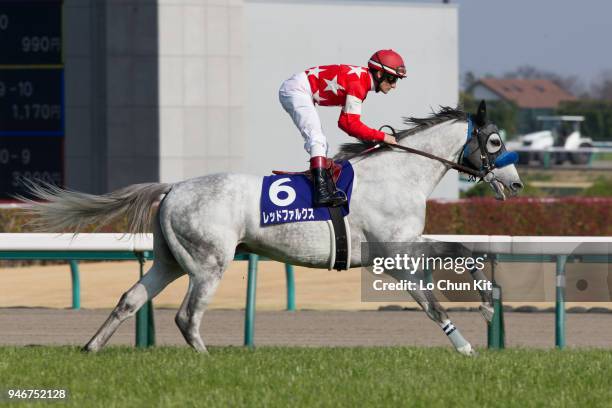 Jockey Mirco Demuro riding Red Falx during the Takamatsunomiya Kinen at Chukyo Racecourse on March 25, 2018 in Toyoake, Aichi Prefecture, Japan.