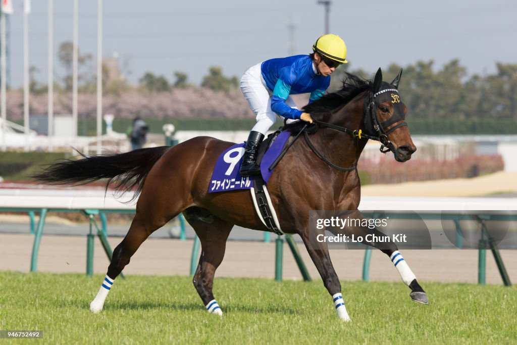 Fine Needle wins Takamatsunomiya Kinen (G1 1200m) at Chukyo Racecourse in Japan