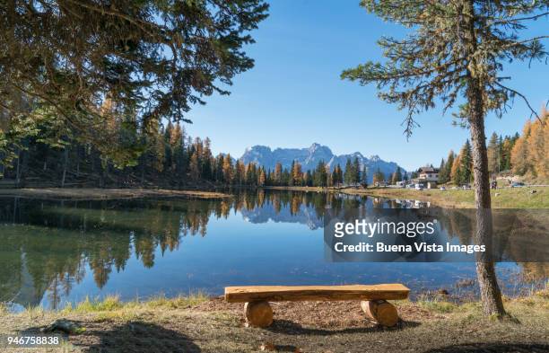 alpine lake in a larch forest in autumn. - alpine larch stock pictures, royalty-free photos & images