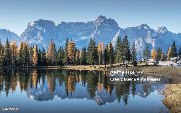 alpine lake in a larch forest in autumn. - alpine larch stock pictures, royalty-free photos & images