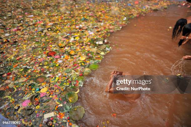 Matua Temple Ritual 113 Mata Tirtha Ausi Photos & High Res Pictures - Getty Images