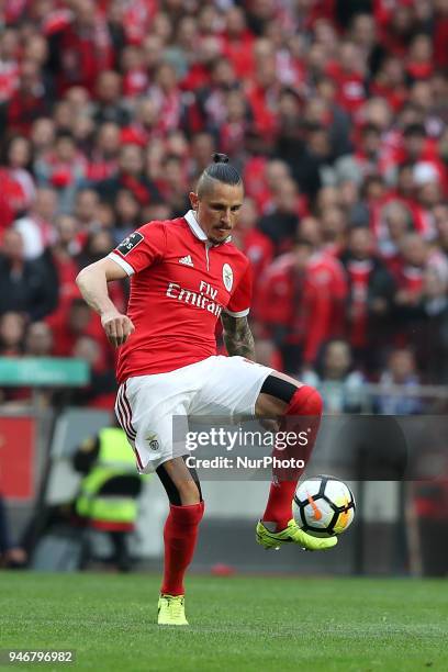 Benfica's Serbian midfielder Ljubomir Fejsa in action during the Portuguese League football match SL Benfica vs FC Porto at the Luz stadium in Lisbon...