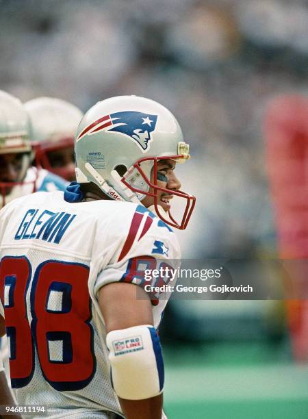 Wide receiver Terry Glenn of the New England Patriots looks on from the sideline during a game against the Pittsburgh Steelers at Three Rivers...