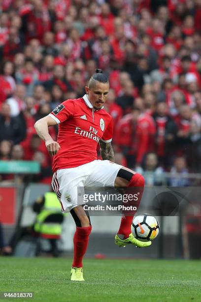 Benfica's Serbian midfielder Ljubomir Fejsa in action during the Portuguese League football match SL Benfica vs FC Porto at the Luz stadium in Lisbon...
