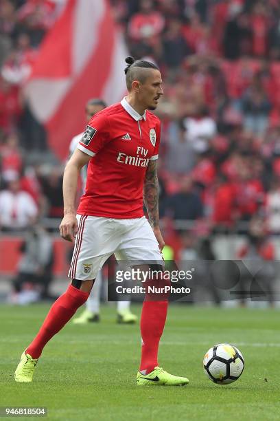 Benfica's Serbian midfielder Ljubomir Fejsa in action during the Portuguese League football match SL Benfica vs FC Porto at the Luz stadium in Lisbon...