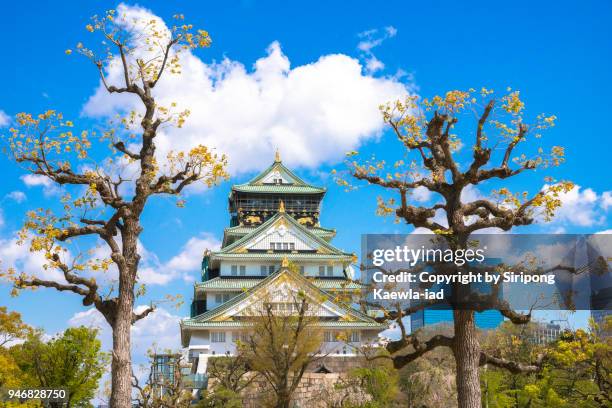 front view of the osaka castle during the spring season, japan. - copyright by siripong kaewla iad stock pictures, royalty-free photos & images