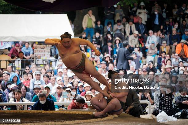 Sumo wrestlers perform acrobatics as pro-wrestling during 'Honozumo' ceremonial on April 16, 2018 in Tokyo, Japan. This annual offering of a Sumo...