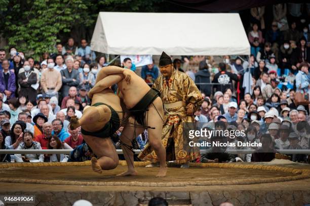 Two wrestlers fight durin 'Honozumo' ceremonial on April 16, 2018 in Tokyo, Japan. This annual offering of a Sumo Tournament to the divine at the...