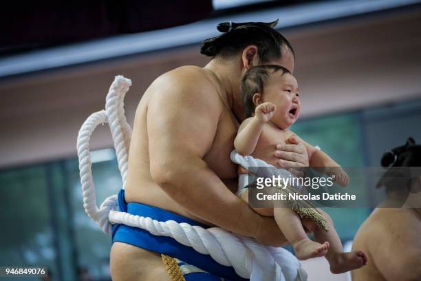 Yokuzuna wrestler hols a baby during 'Honozumo' ceremonial on April 16, 2018 in Tokyo, Japan. This annual offering of a Sumo Tournament to the divine...